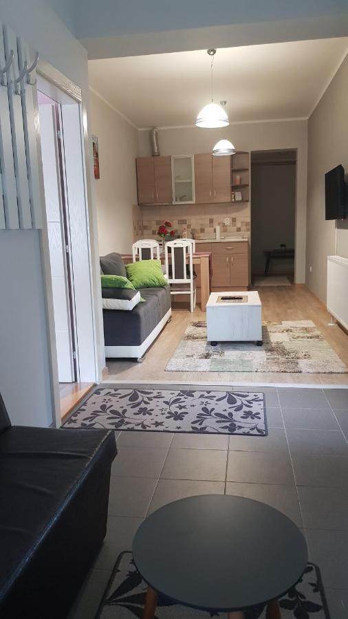 Apartmani V&F Vrnjacka Banja Luaran gambar