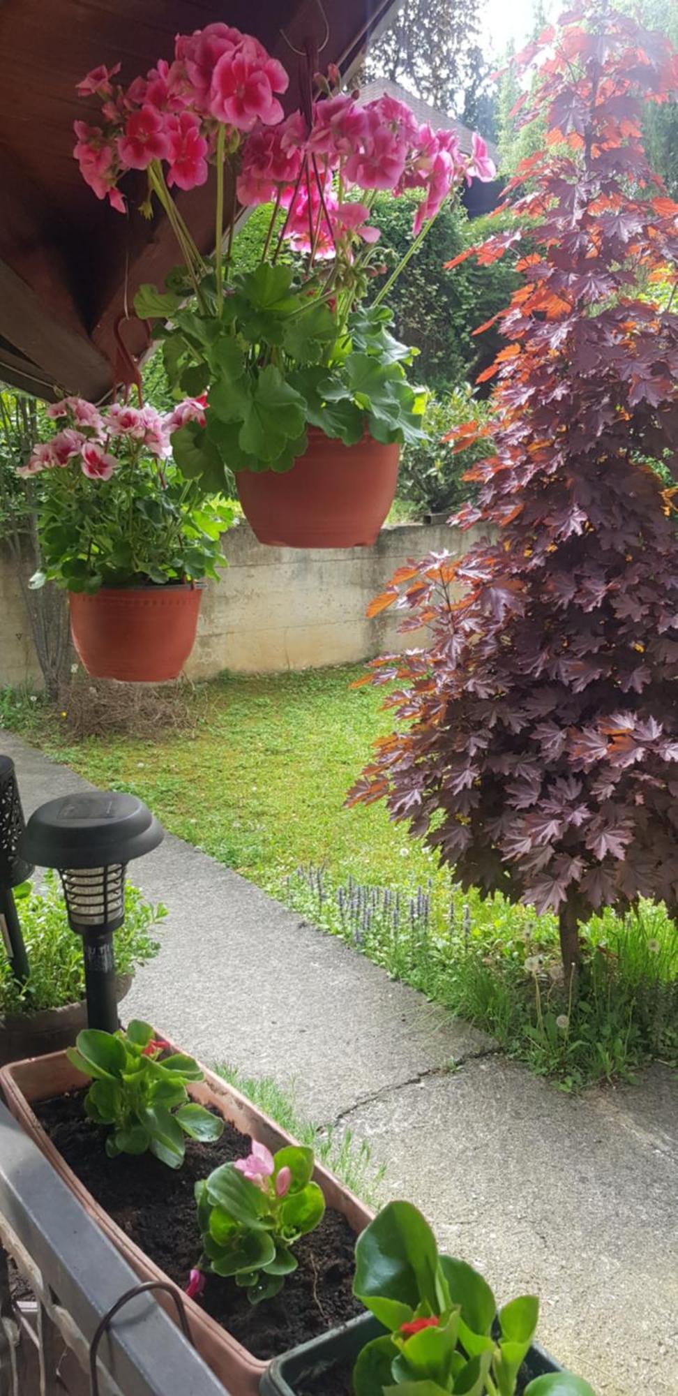 Apartmani V&F Vrnjacka Banja Luaran gambar