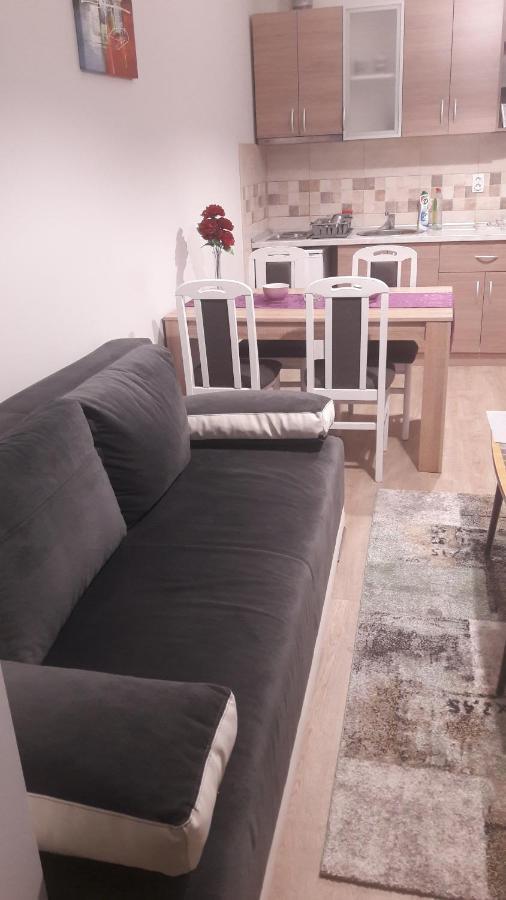 Apartmani V&F Vrnjacka Banja Luaran gambar